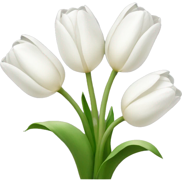 white tulip bouquet with a white bow holding the flowers together emoji