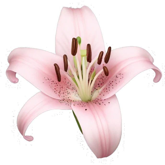 light pink lilium emoji