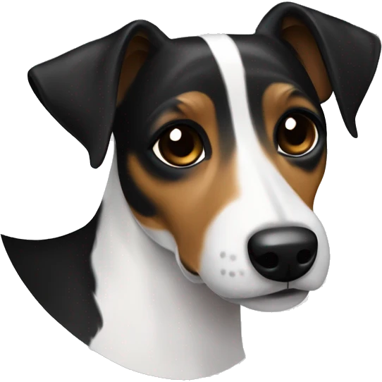 All Black Only Jack Russell Terrier no brown no white  emoji
