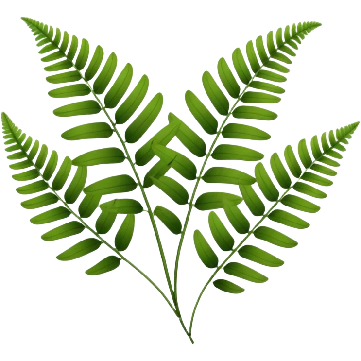lush green fern fronds, natural plant emoji
