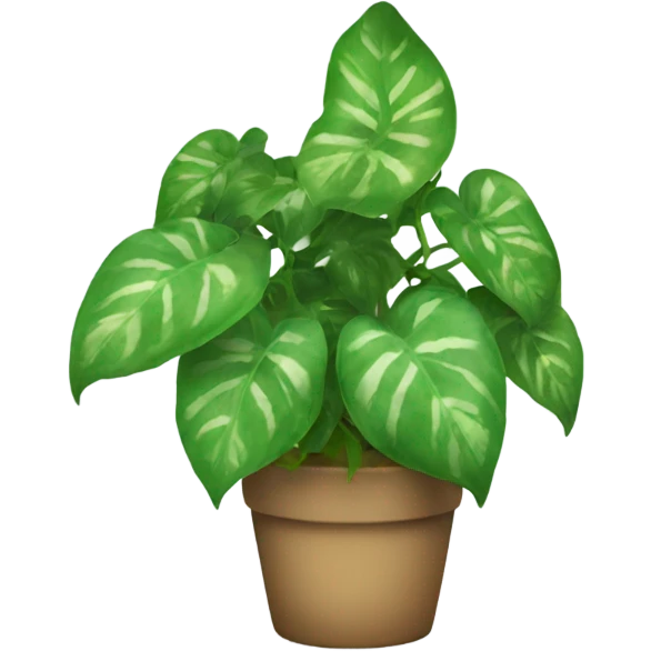 Pothos plant rainbow emoji