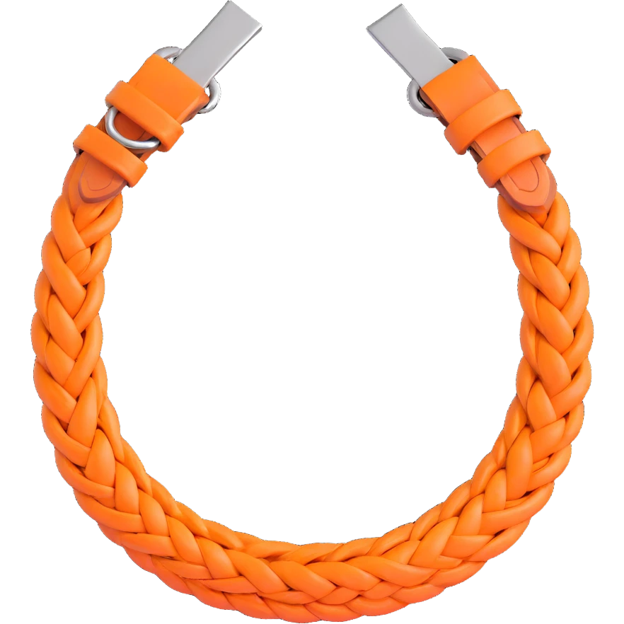 horseshoe, 3D, orange leather, braided edge, elegant, no text emoji