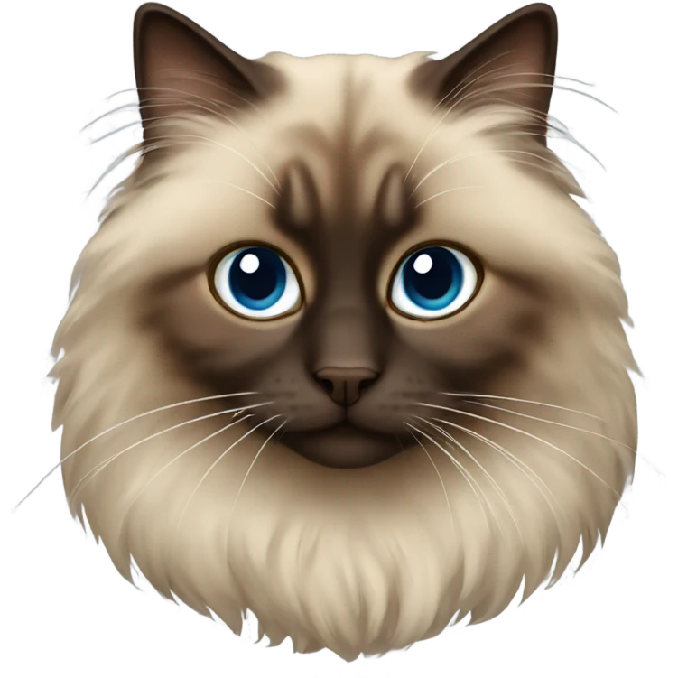 brown ragdoll cat emoji