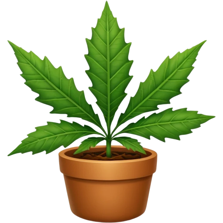 A pot leaf emoji