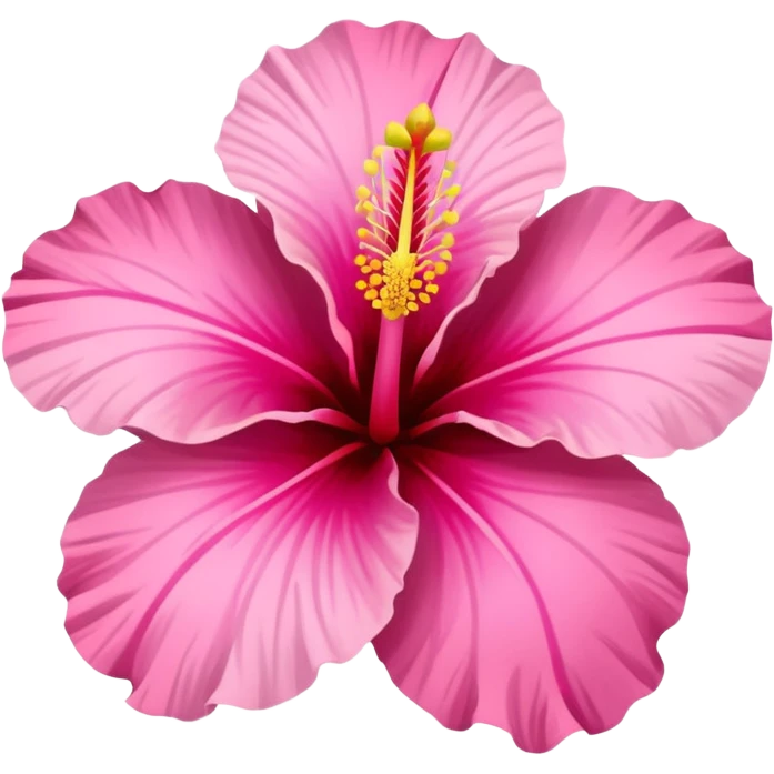 hibiscus flower pink emoji
