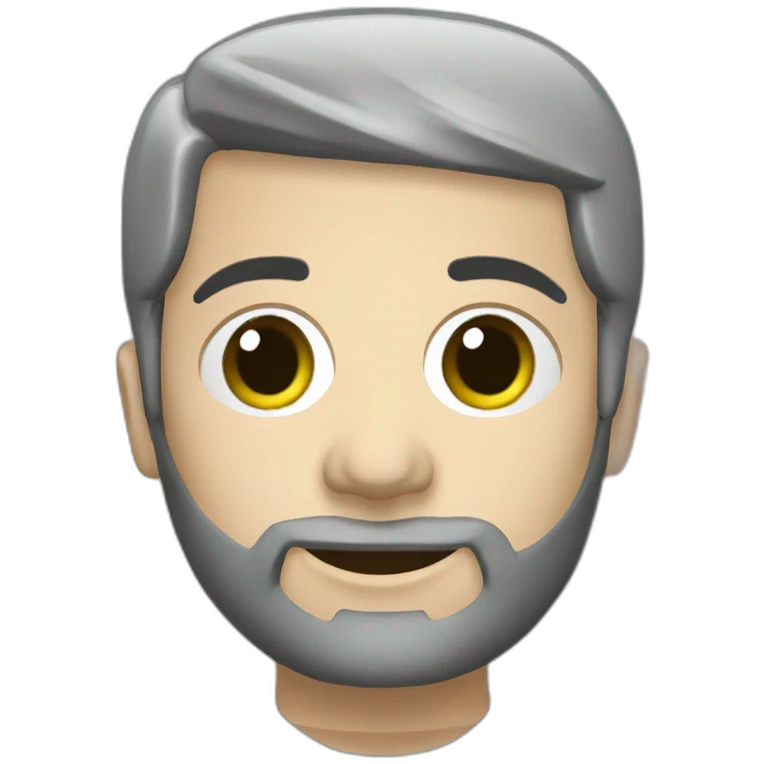 Volkswagen Passat combi 2004 silver emoji