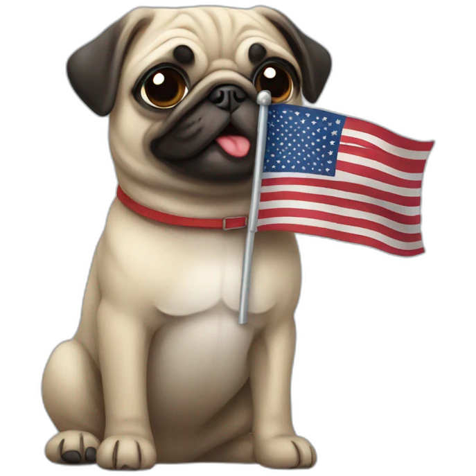 pug holding a united states flag emoji