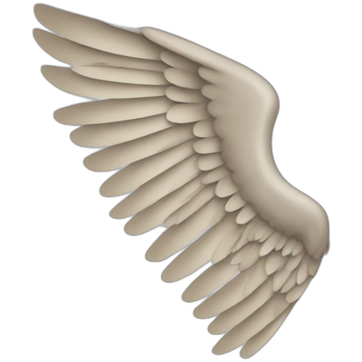 wing emoji