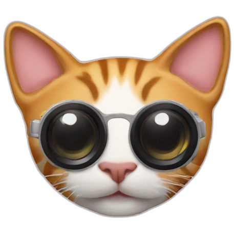 Cat photography camera emoji