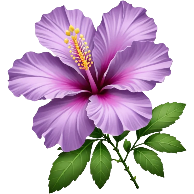 single lilac hibiscus blossom with 6 branch  facing left in png form  emoji