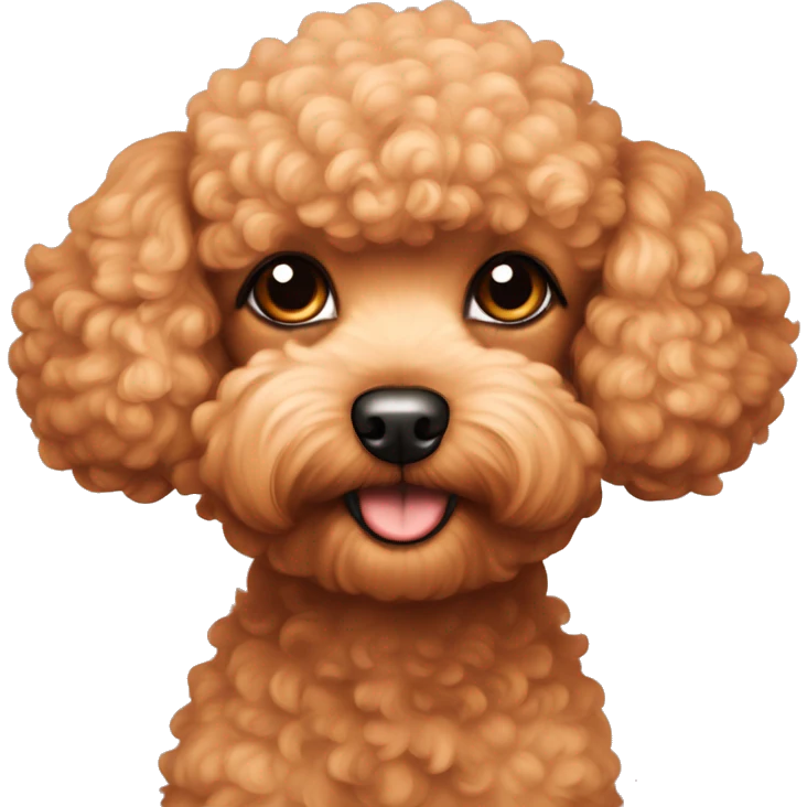 Apricot coloured toy Poodle  emoji