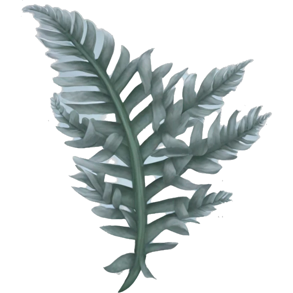 silver fern emoji
