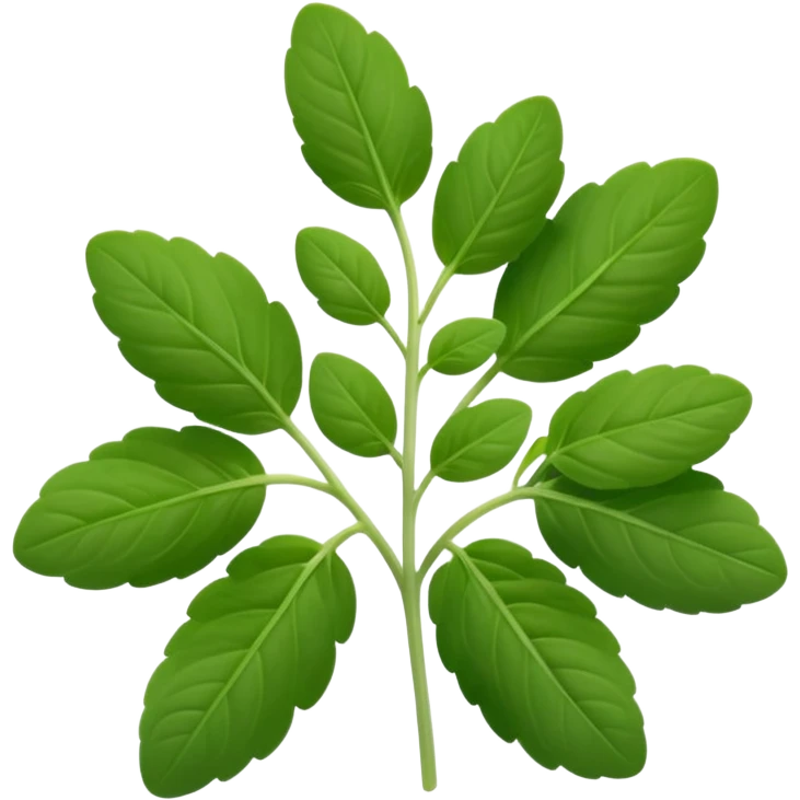 small sprig of fresh oregano with oval slightly fuzzy green leaves on thin tender stems, leaves clustered and layered with subtle natural curves and soft midrib veins, color ranges from vibrant to muted green, no pot scissors or extras, apple emoji style, soft lighting, subtle shadows, emoji scale emoji