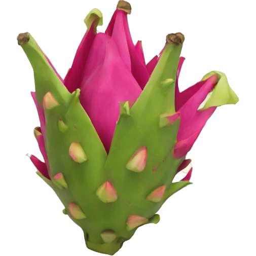 Pitaya  emoji