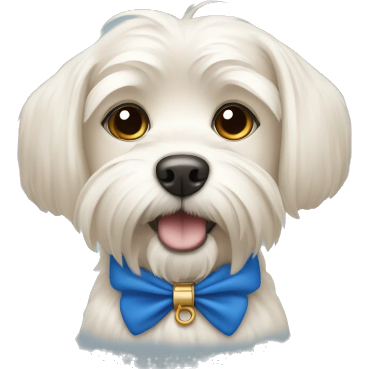 A beige Maltese dog with a blue collar emoji
