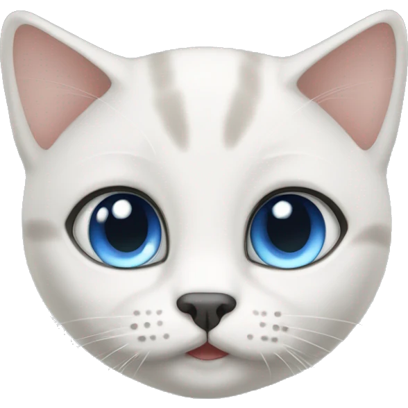 Brittish Short Hair Cat with Blue Eyes emoji