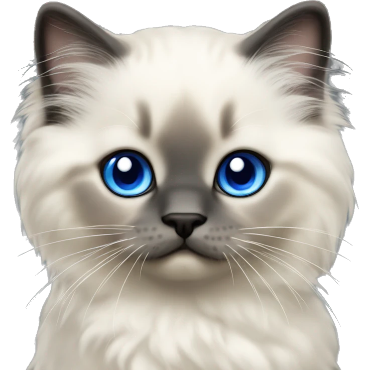 Seal colorpoint ragdoll kitten with sapphire blue eyes emoji