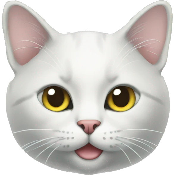 cat money  emoji