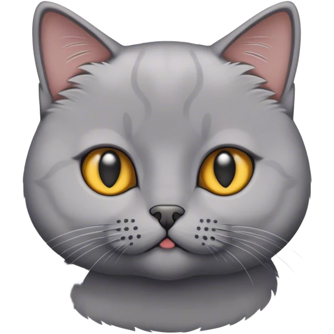 A British short hair cat emoji