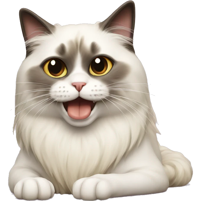 Ragdoll cat eating sushi emoji