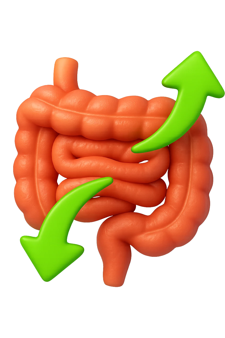 emoji 3d stile iphone di un intestino che si rigenera 3d emoji