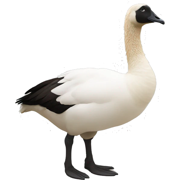 Goose for the lower body and llama top half of the body and head emoji
