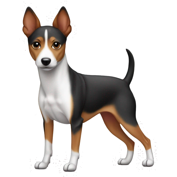 Basenji tricolor young skinny boy emoji