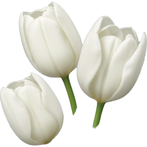 White tulips emoji