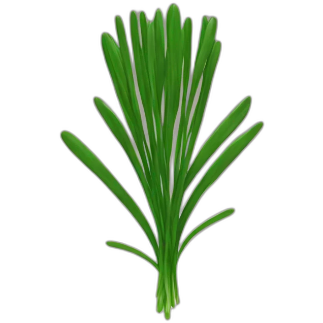 chives coin emoji
