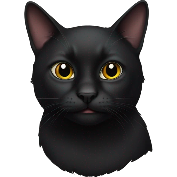 Black cat emoji