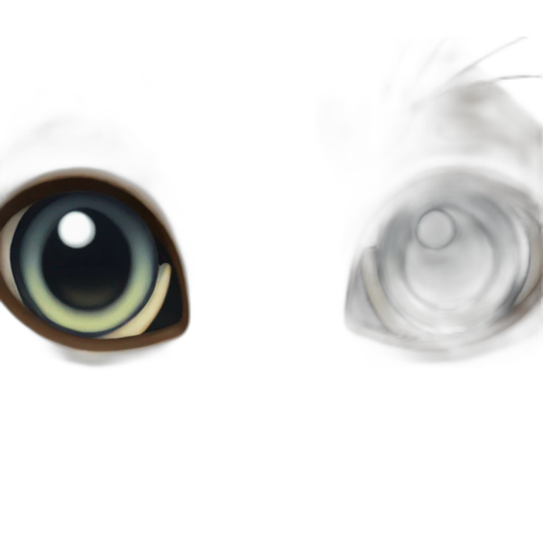 Cat stare at you with large eye's emoji