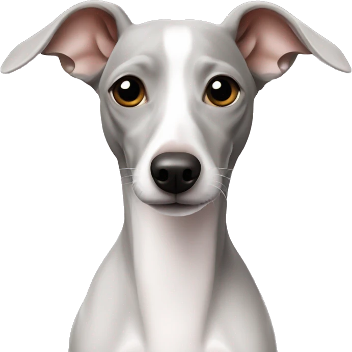 White Italian greyhound emoji