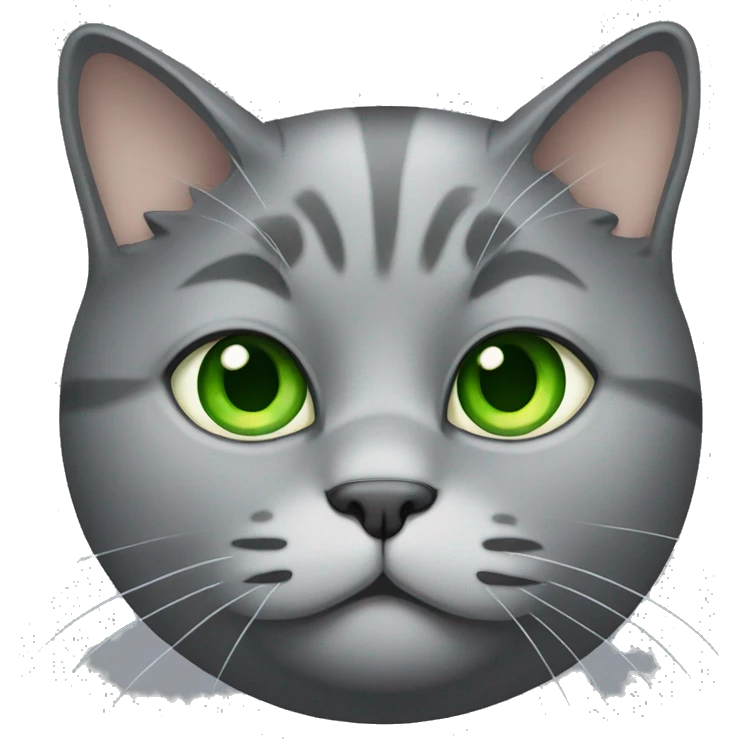 Fat Grey cat with green eyes  emoji