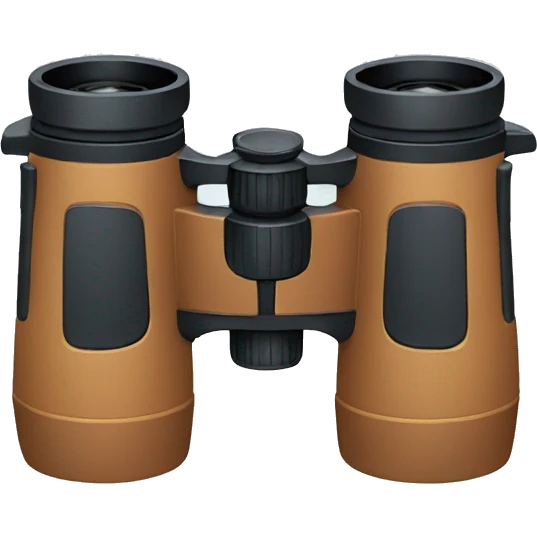 Binoculars  emoji