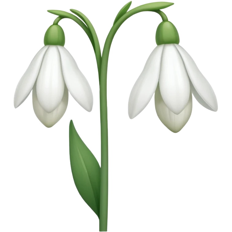 snowdrop flower emoji