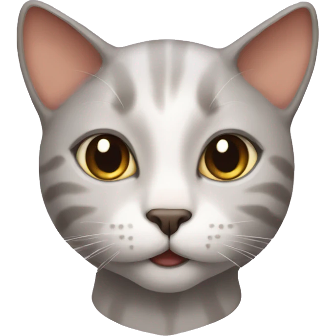 cat with skincare  emoji
