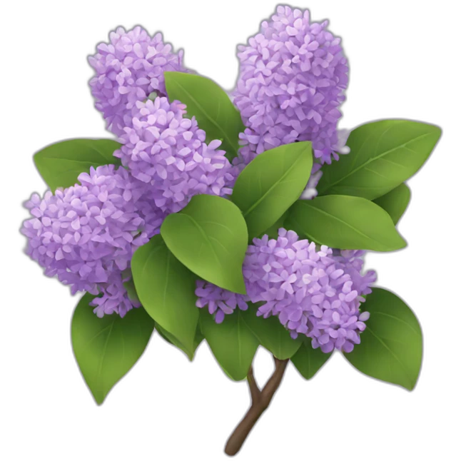lilac bush emoji