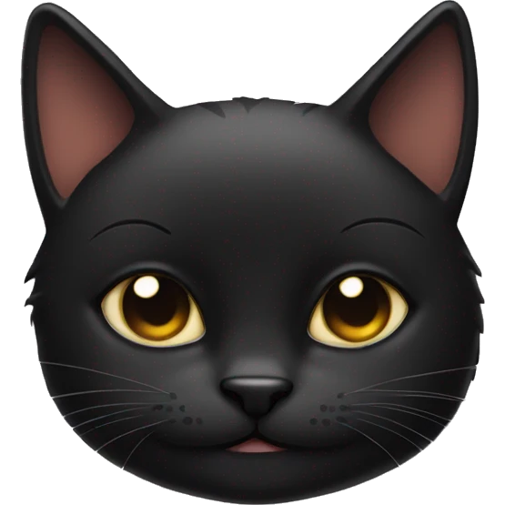 Black cat sticking out middle finger emoji