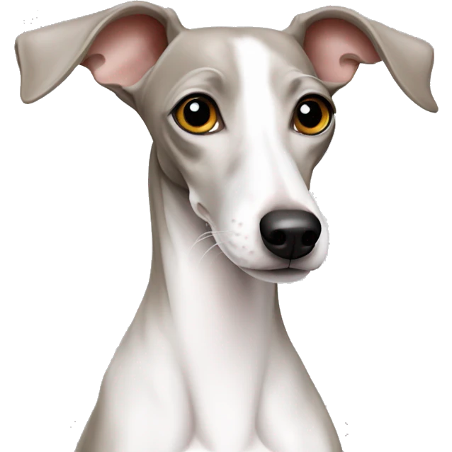 White Italian greyhound emoji