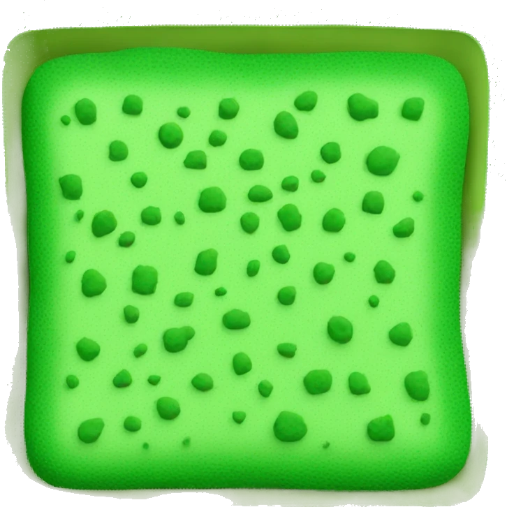 green flat square dish sponge emoji