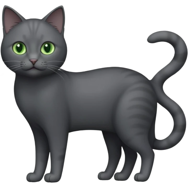 full body solid dark grey cat with green eyes and white paws and white whiskers emoji
