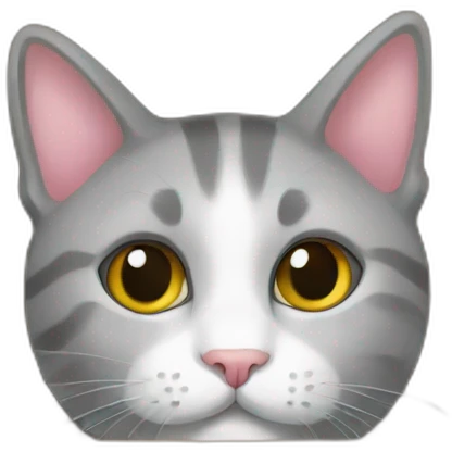 cat in a box emoji