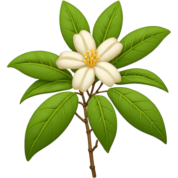 wilted indian jasmine in emoji format emoji