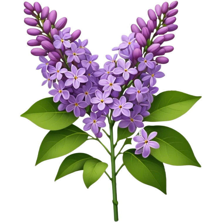 single bunch lilac flower, straight stem emoji