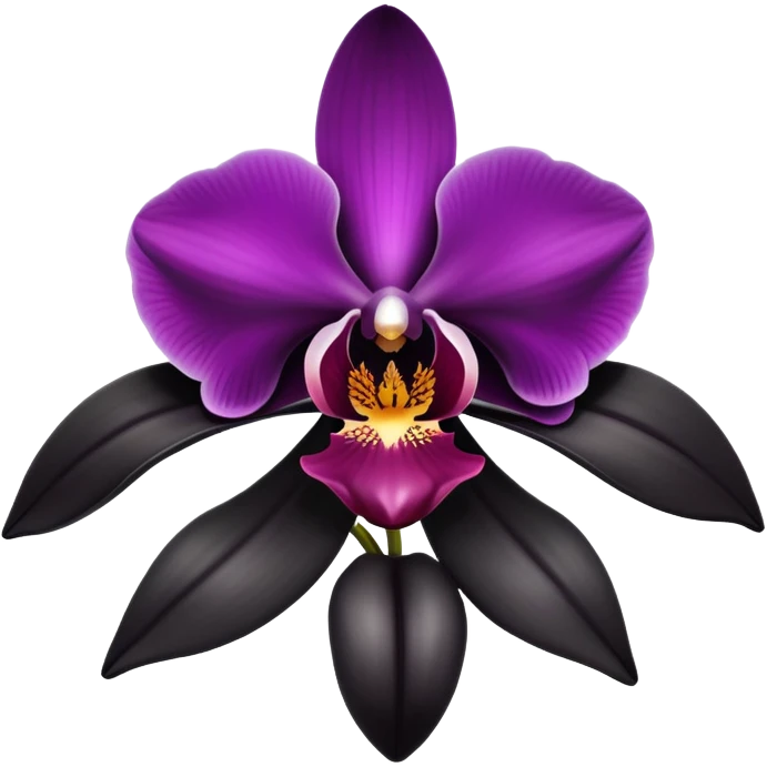 black orchid  emoji