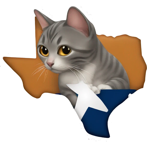 cat hugging the state of texas emoji