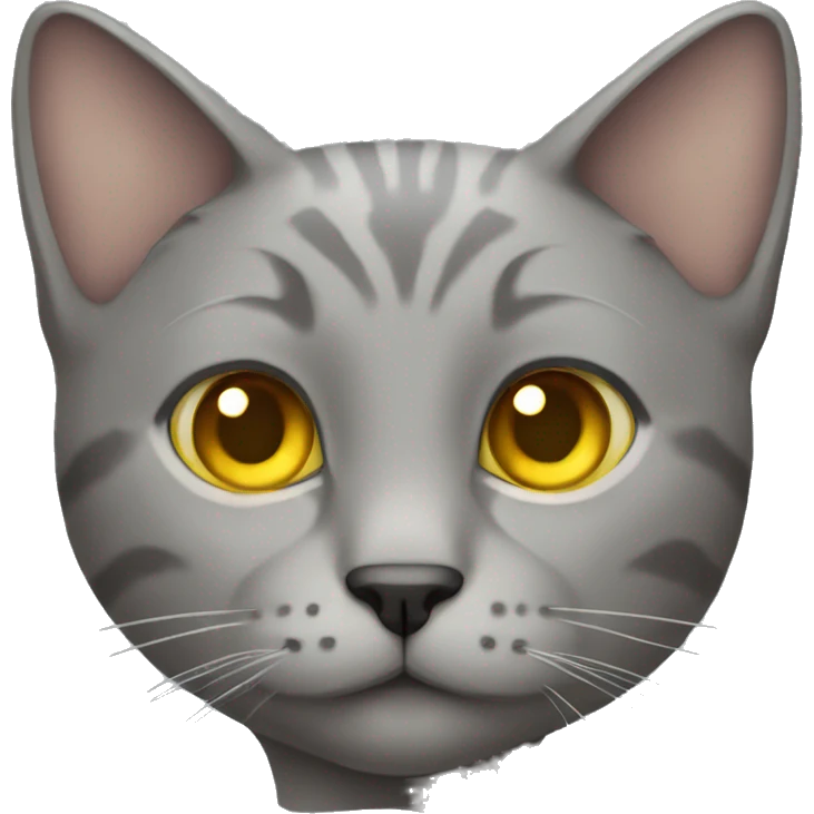 gray fold-eared cat with yellow eyes emoji