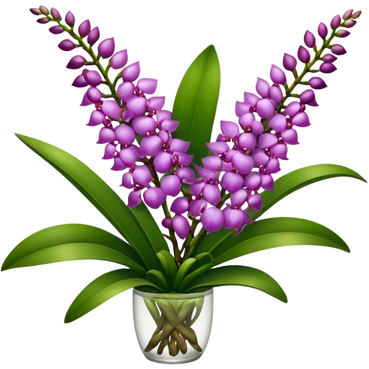 super big bouquet Rhynchostylis Orchid, stem, leaf emoji