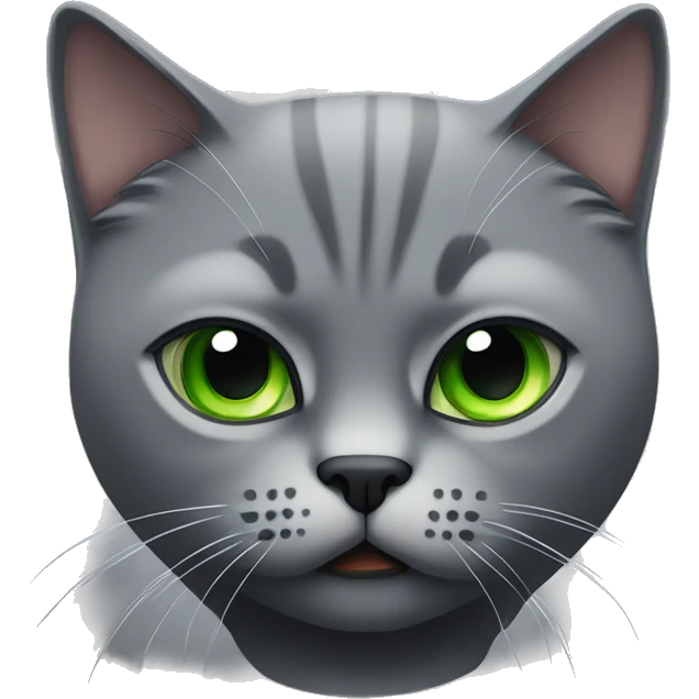 Dark grey angry British short hair cat with green eyes  emoji