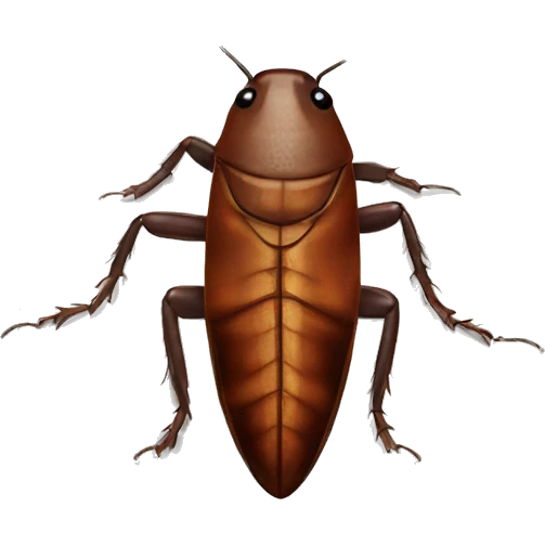 Cockroach  emoji